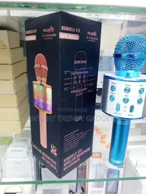 Ws-858l Portable Karaoke Mic RGB Lights Echo Control