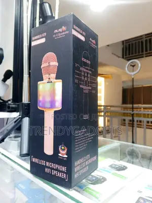 Ws-858l Wireless Karaoke Mic Bluetooth Speaker RGB Lights