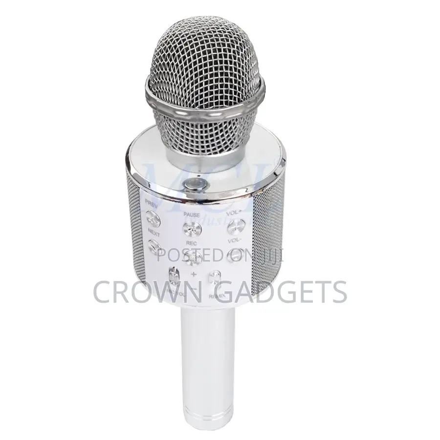 Ws-858l 3-in-1 Karaoke Mic Echo Speaker Party Microphone