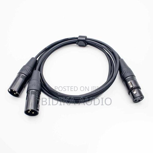 1 Female to 2 Male (Splitter) Y Cable