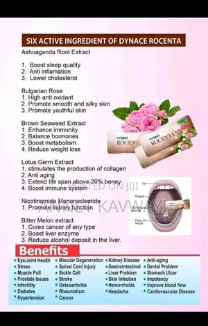 Stem Cells Products