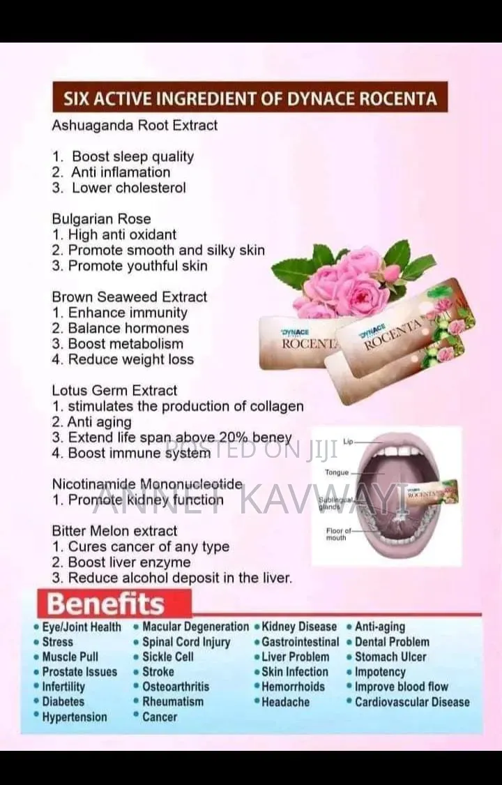 Stem Cells Products