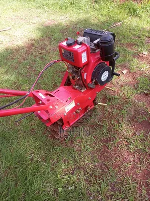 Walking Tractor Diesel Engine
