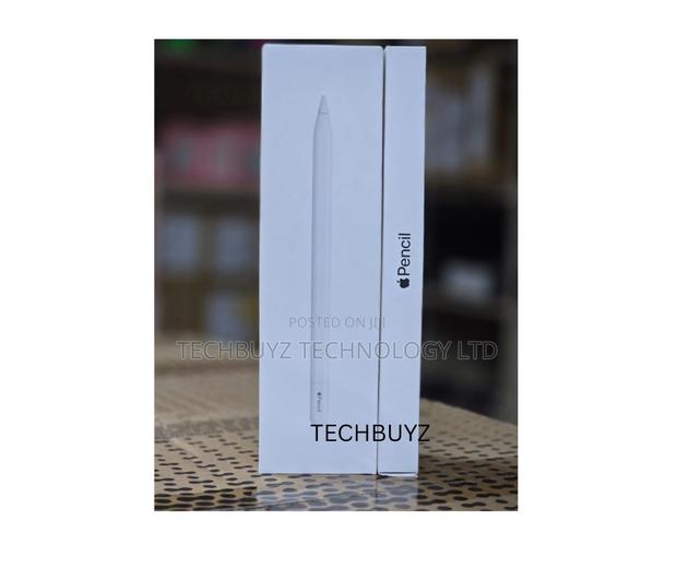Apple Pencil (Usb-C)