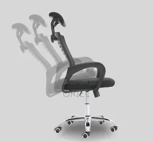 Office Chair : Professional Ergonomic Chair