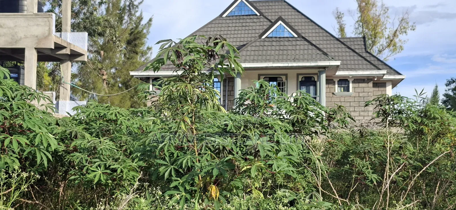 100x100 Available Residential Plot in Ruia Next Citam Church