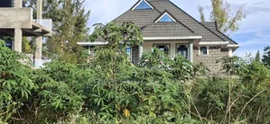 100x100 Available Residential Plot in Ruia Next Citam Church