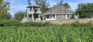 100x100 Available Residential Plot in Ruia Next Citam Church