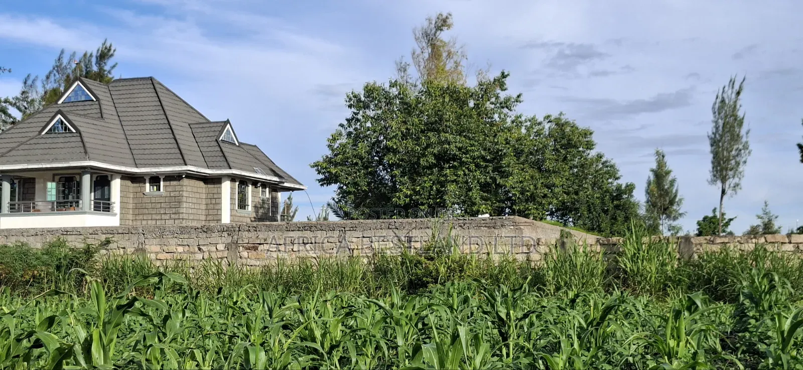 100x100 Available Residential Plot in Ruia Next Citam Church