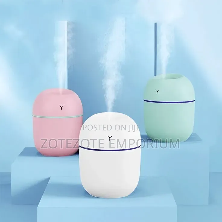Air Humidifier / Humidifier