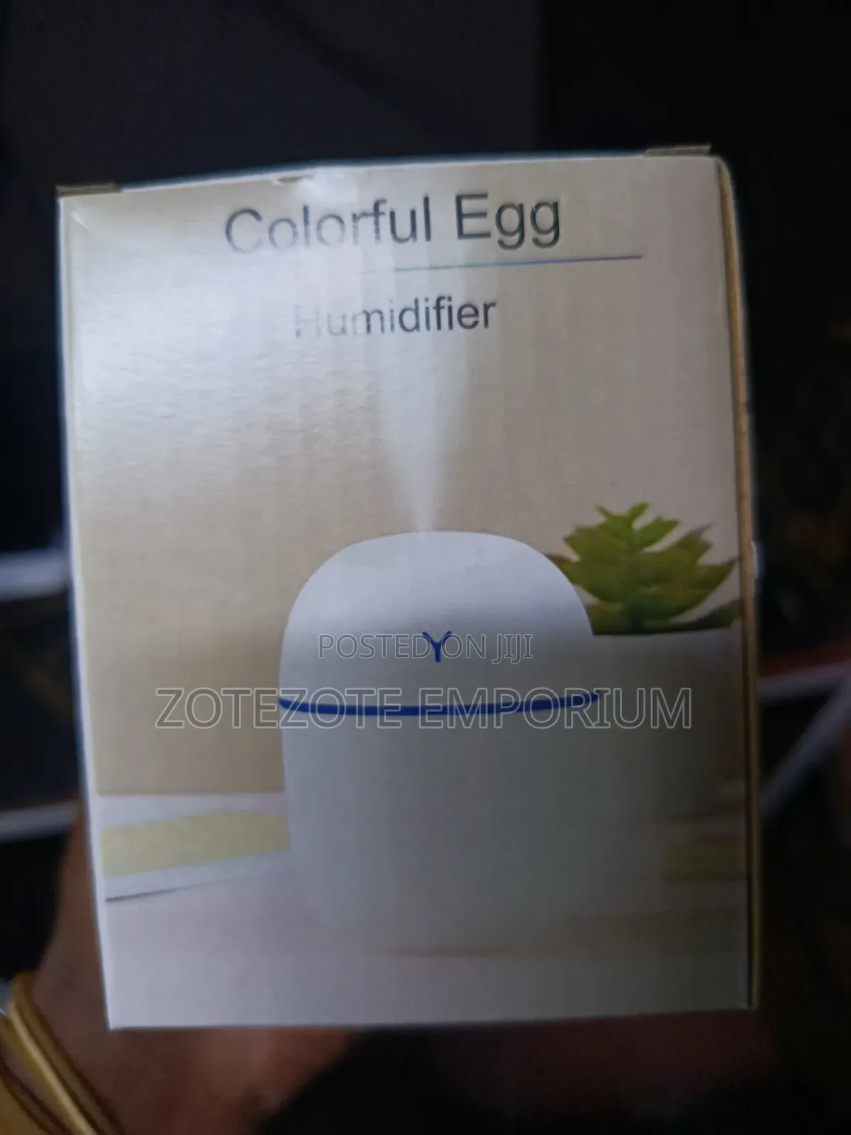 Air Humidifier / Humidifier