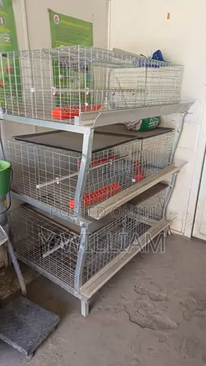 Chicken Cage