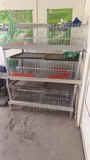 Chicken Cage