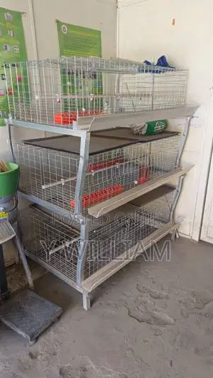 Chicken Cage