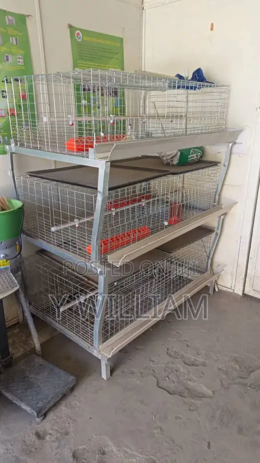 Chicken Cage