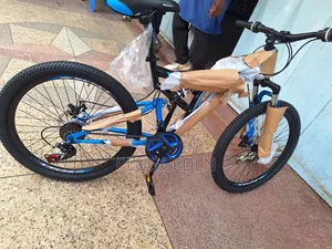 Reset Bicycle Size 24 With Shocks.