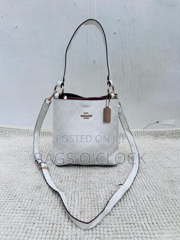 Authentic Coach Mollie Bucket Bag 22 - Signature Canvas (Chalk White)
