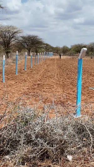 Neema Gardens