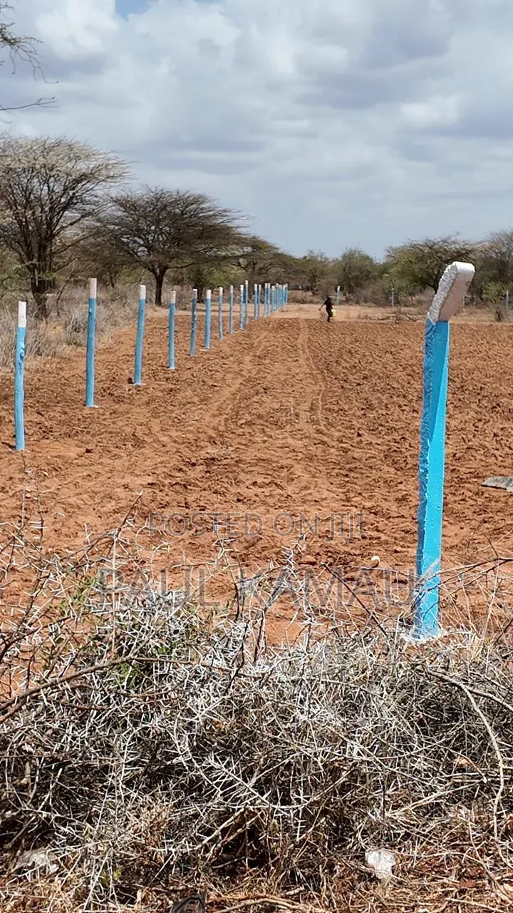 Neema Gardens