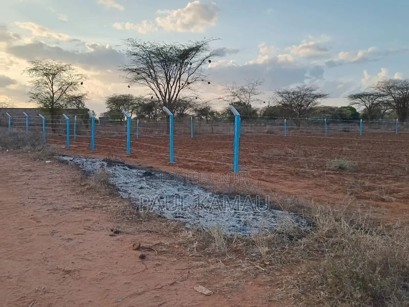 Neema Gardens