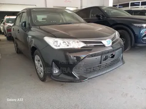 Toyota Axio 2019 Black