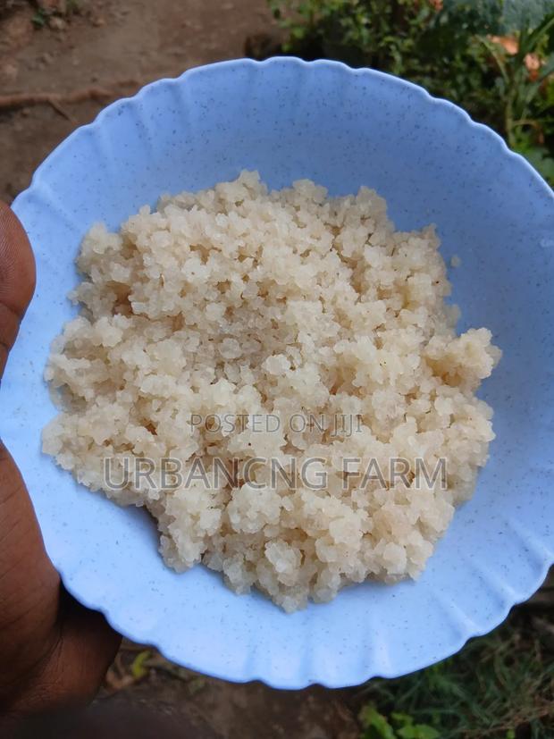 Water Kefir Grains - main view