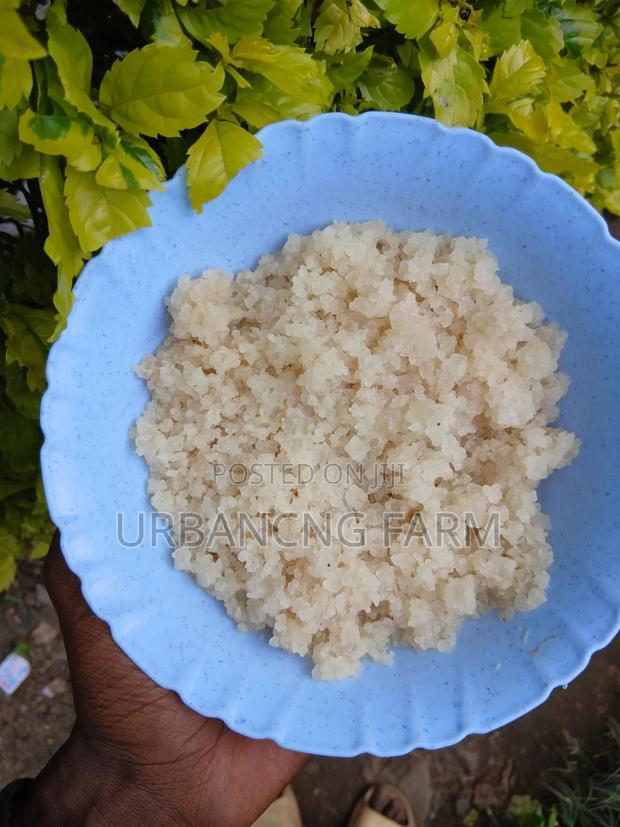 Water Kefir Grains - thumbnail 4