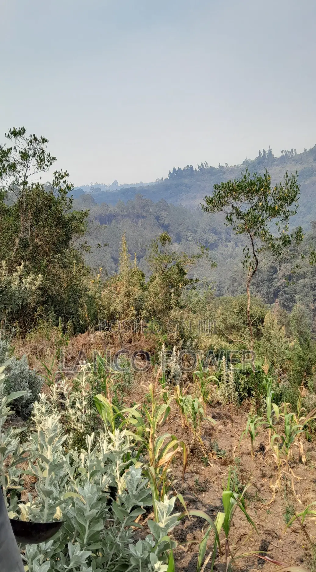 45 Acres Land Bordering Permanent River