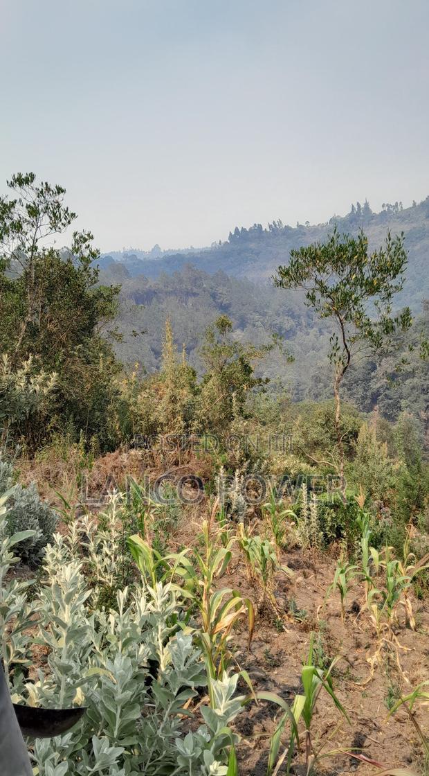 45 Acres Land Bordering Permanent River Turasha - thumbnail 2
