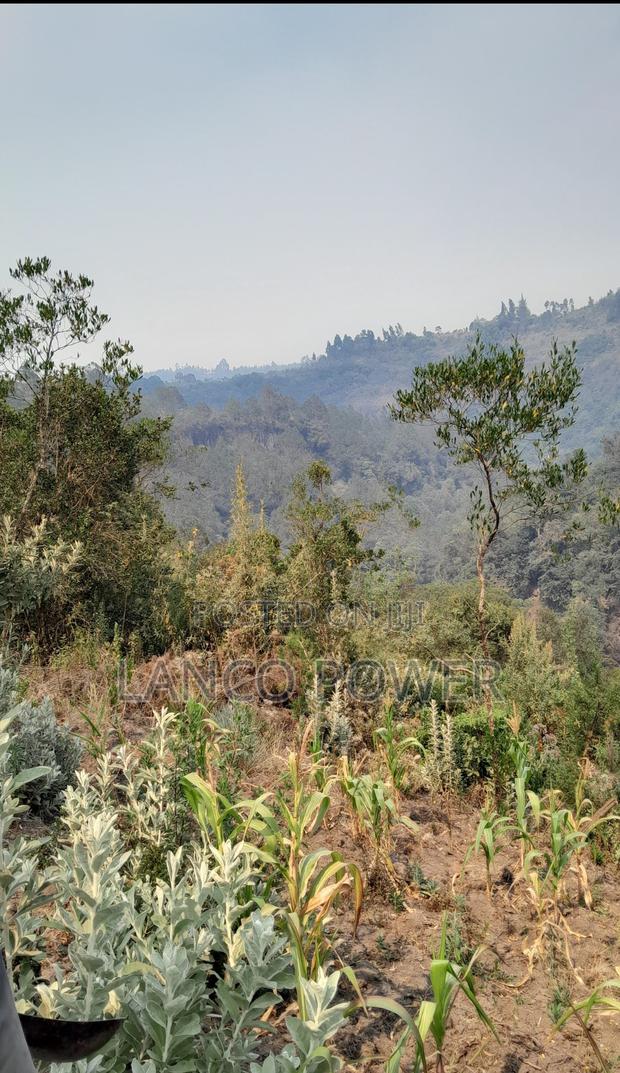 45 Acres Land Bordering Permanent River Turasha - thumbnail 3