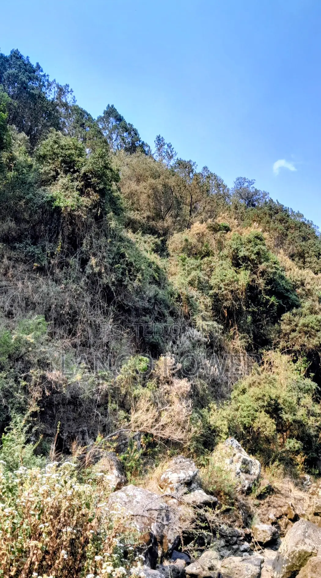 45 Acres Land Bordering Permanent River