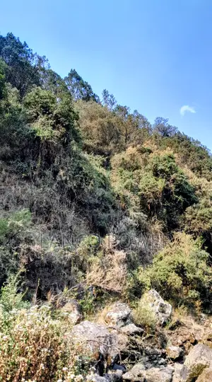 45 Acres Land Bordering Permanent River