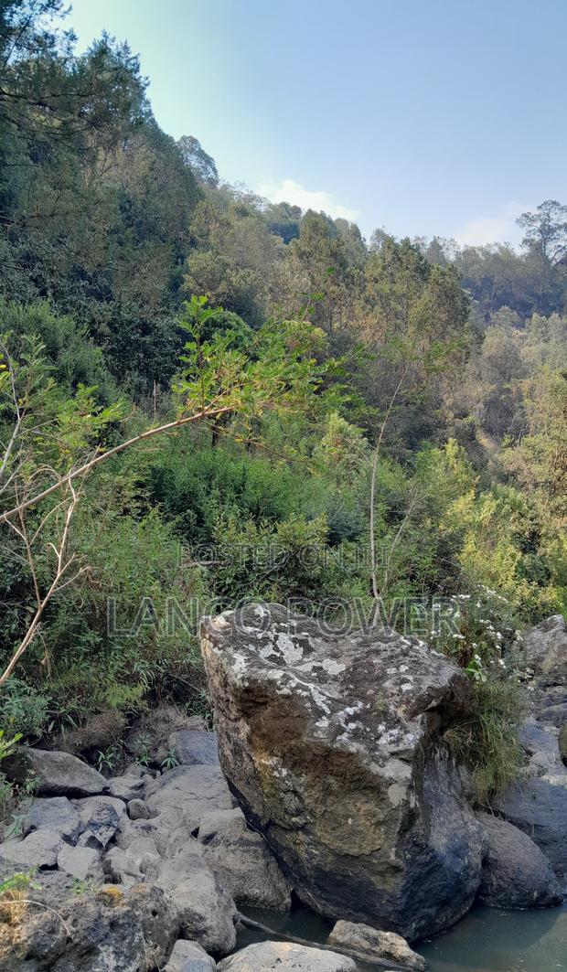 45 Acres Land Bordering Permanent River Turasha - thumbnail 5