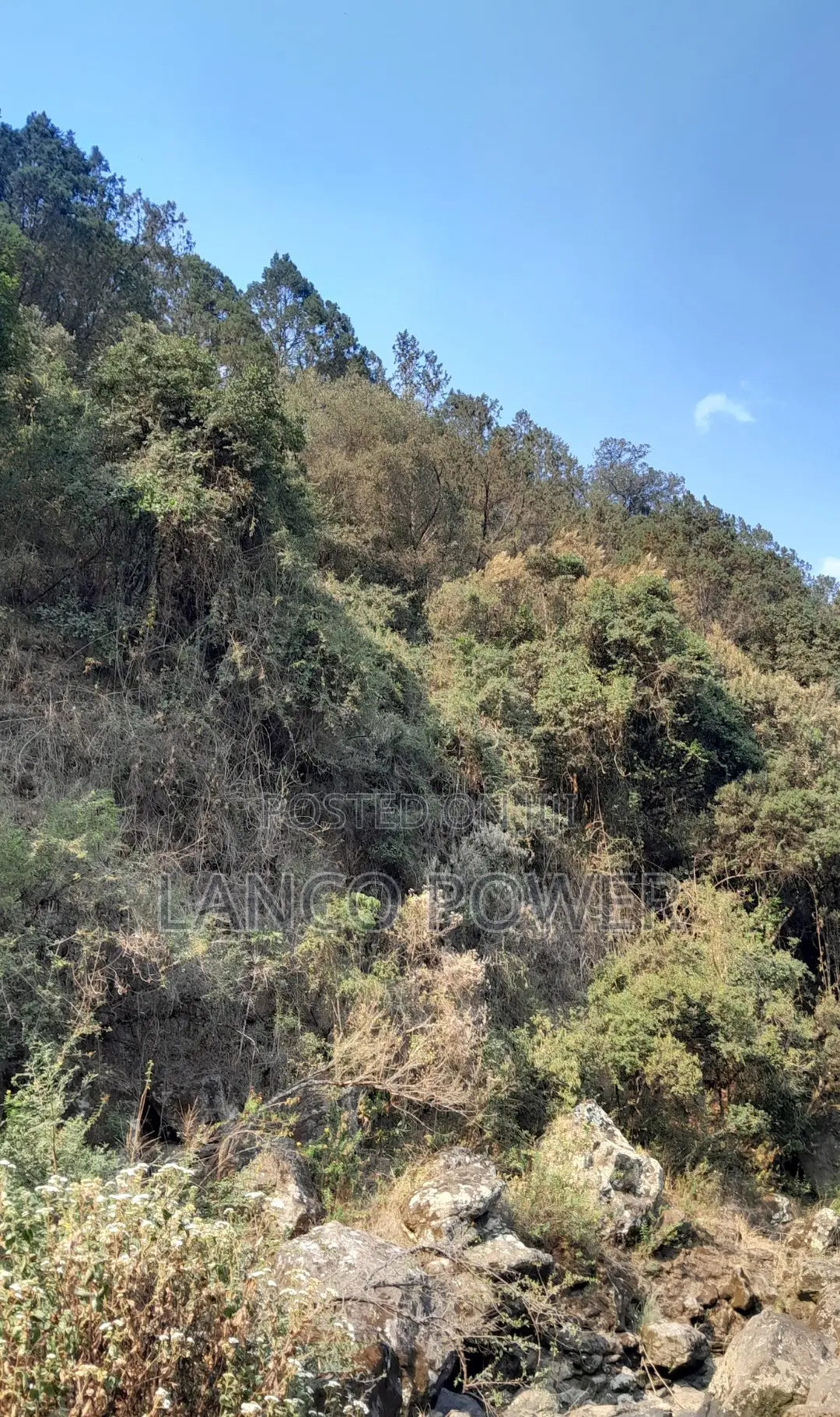 45 Acres Land Bordering Permanent River