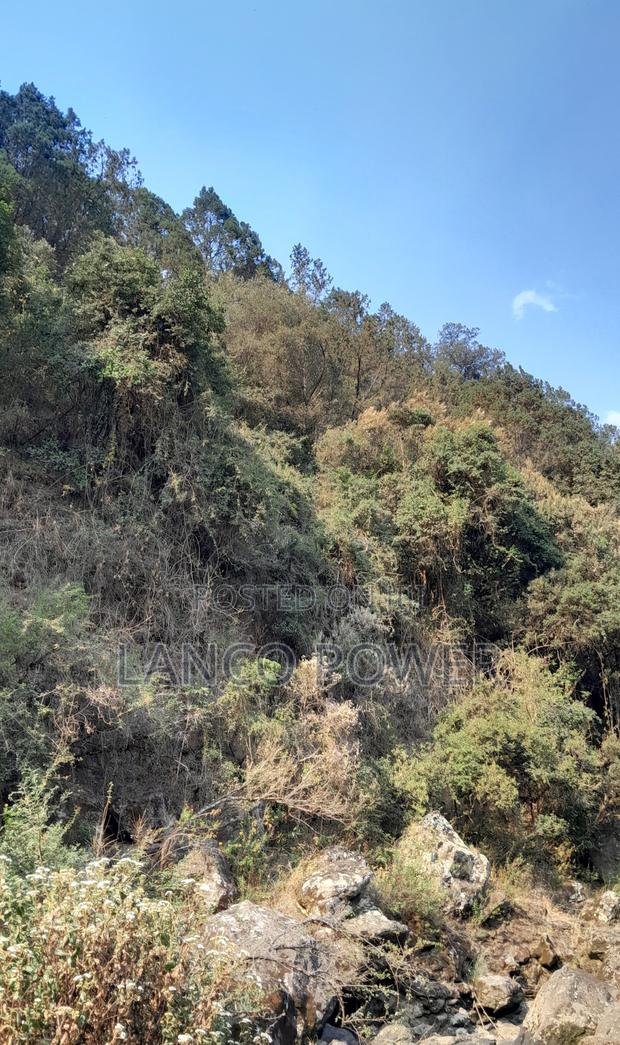 45 Acres Land Bordering Permanent River Turasha - thumbnail 6