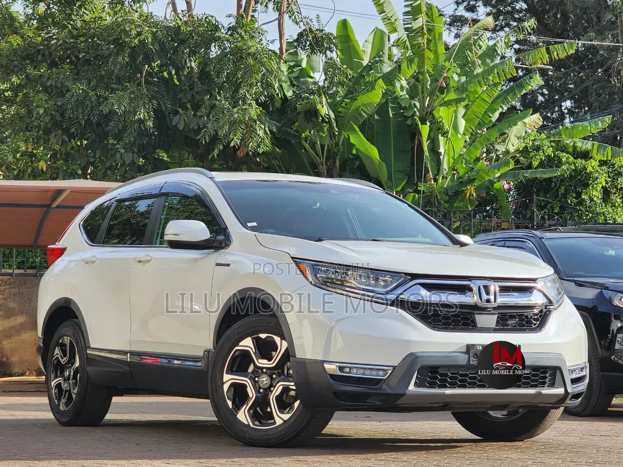 Honda CR-V Hybrid 2020 White