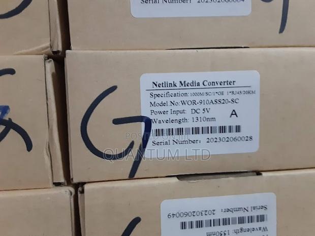 Netlink Media Converter - main view
