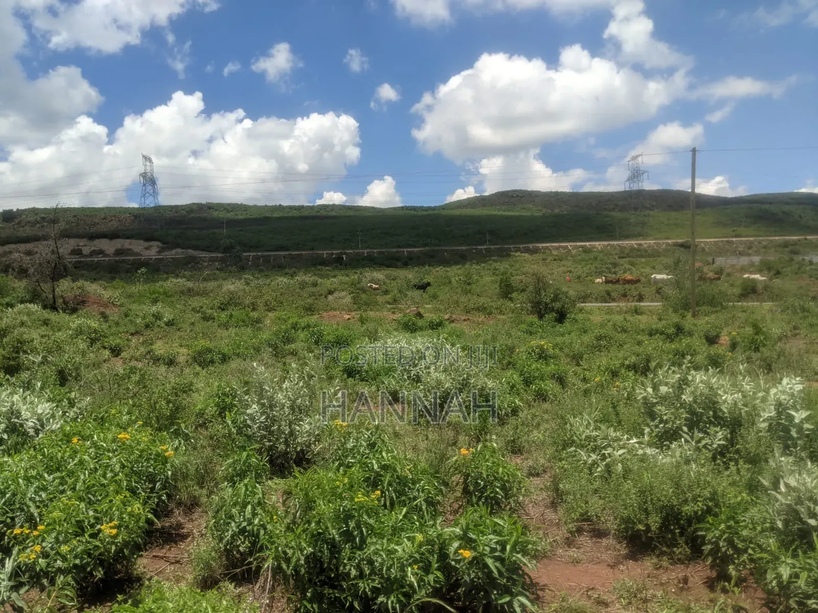 Land for Sale Kimuka Ngong