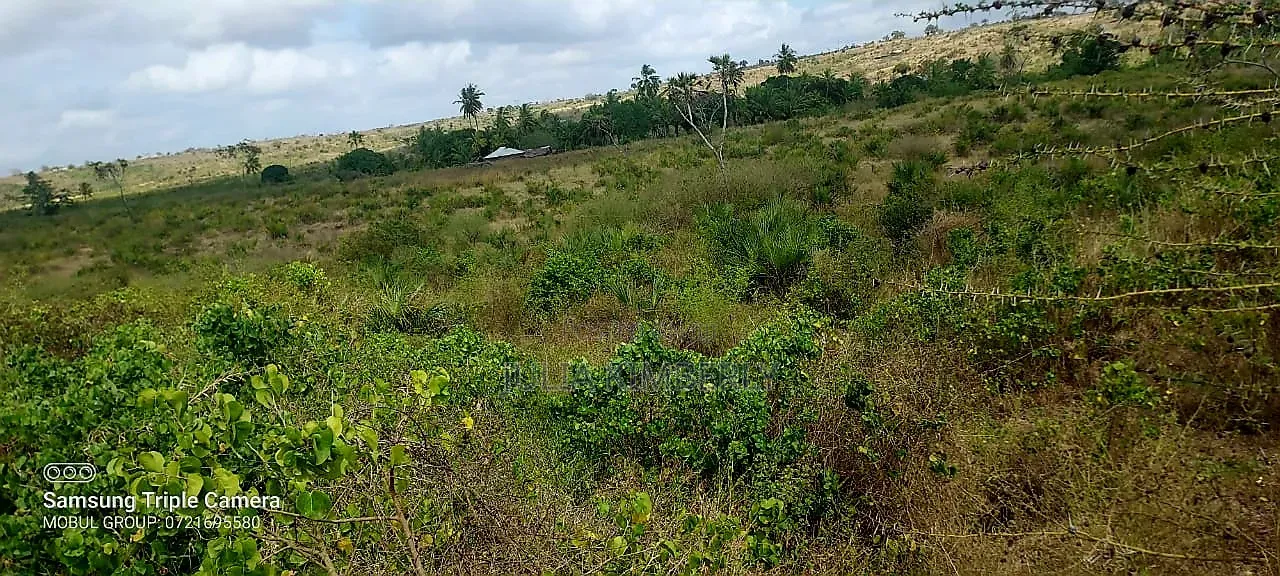 Dongo Kundu 1/2 an Acre Plot for Sale