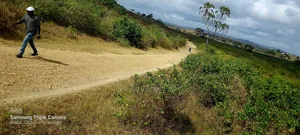 Dongo Kundu 1/2 an Acre Plot for Sale