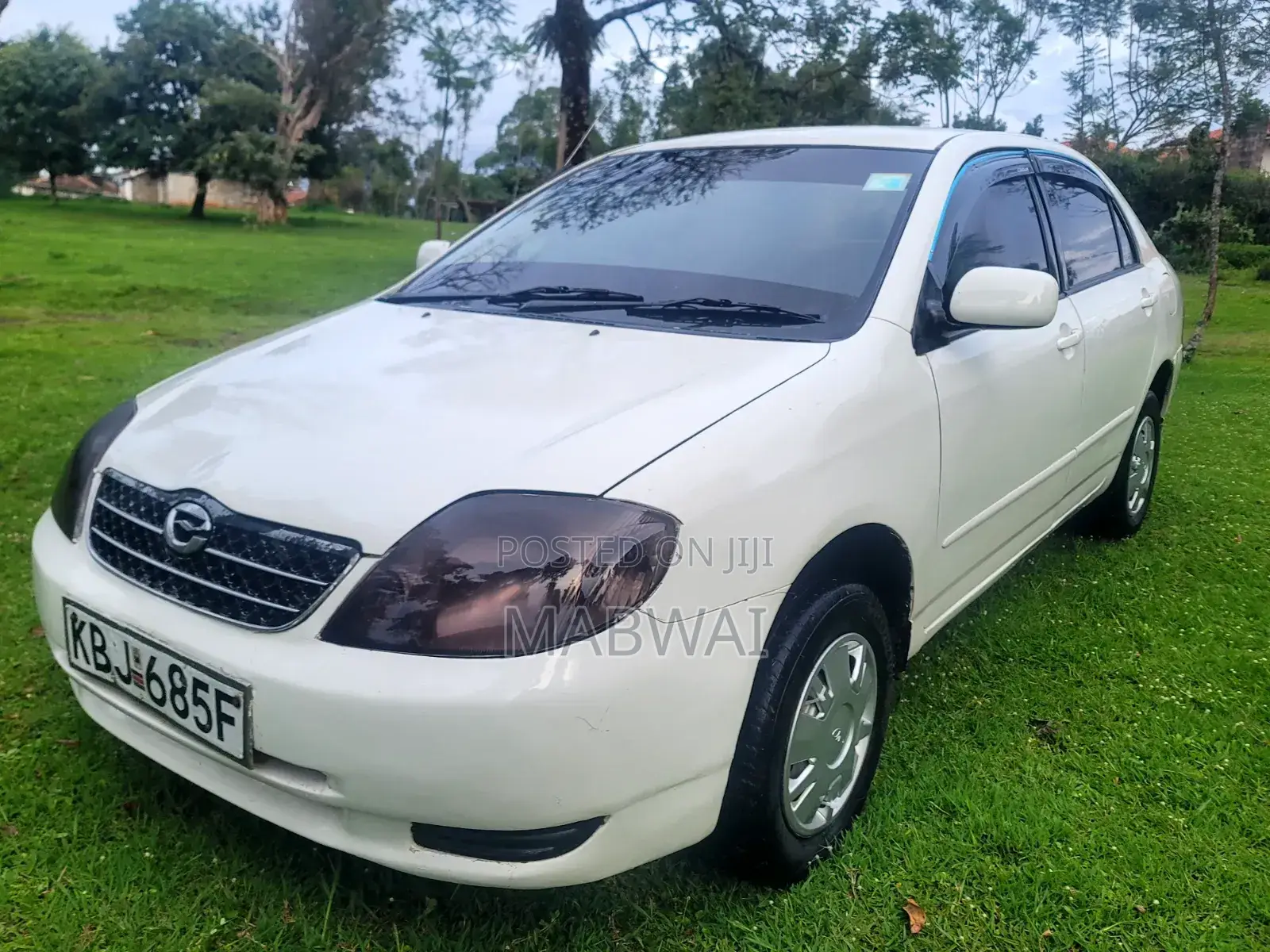 Toyota Corolla 2005 White