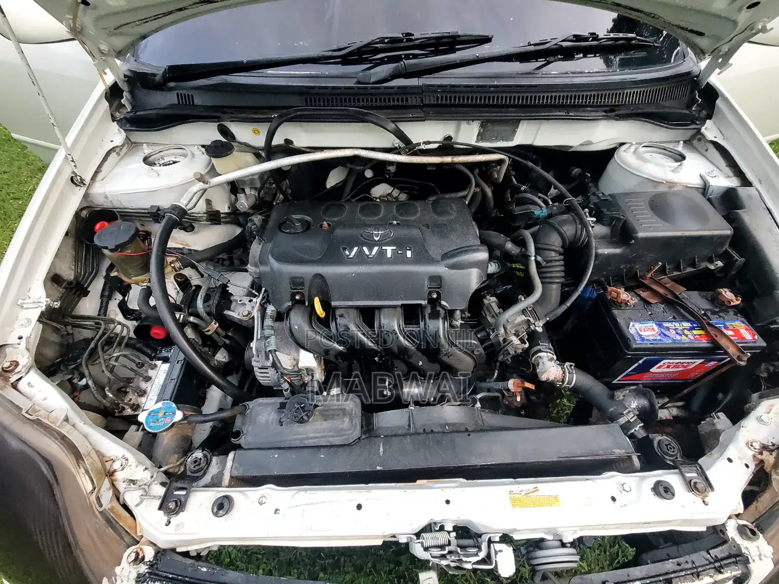 Toyota Corolla 2005 White