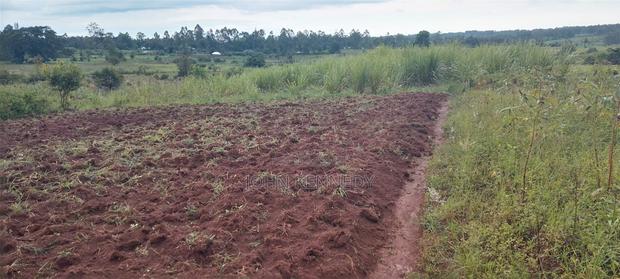 Land for Sale - thumbnail 2