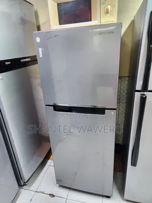 Samsung Best Specious Fridge
