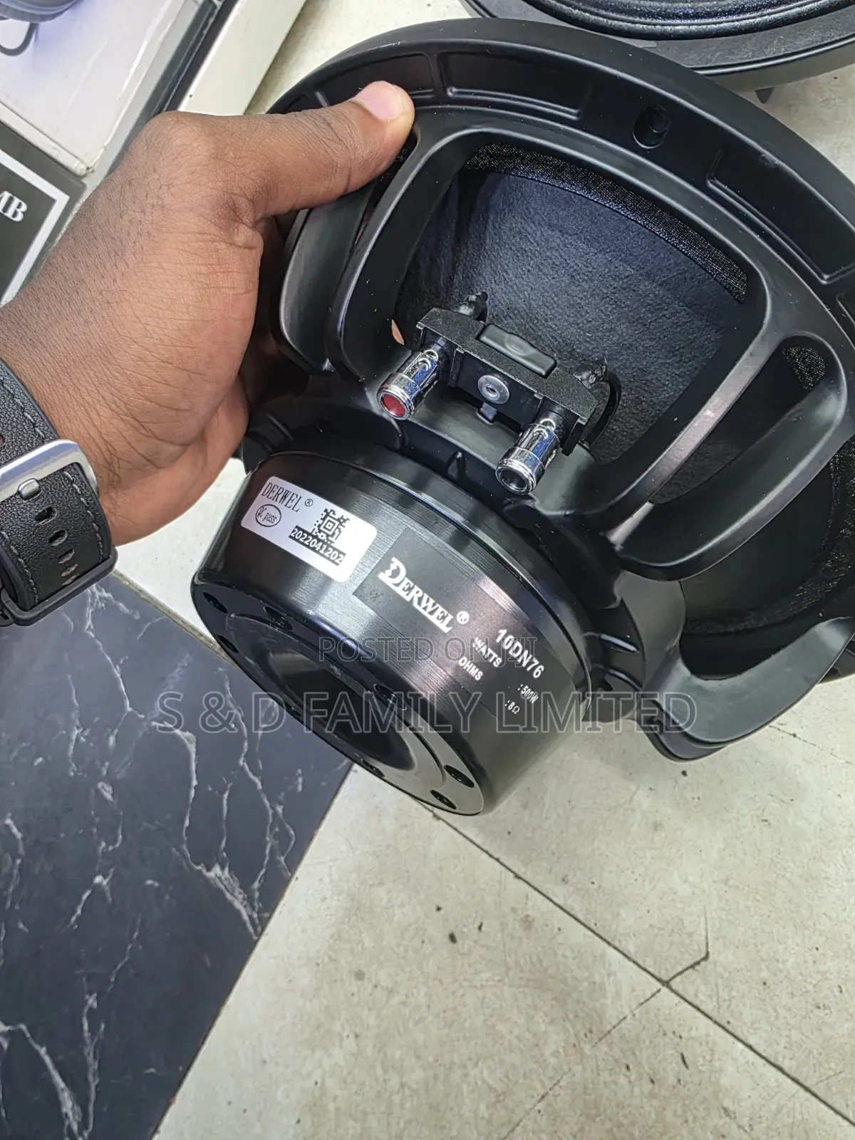 Derwel 10dn76 Neodymium 10 Inch Speaker