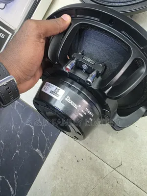 Derwel 10dn76 Neodymium 10 Inch Speaker