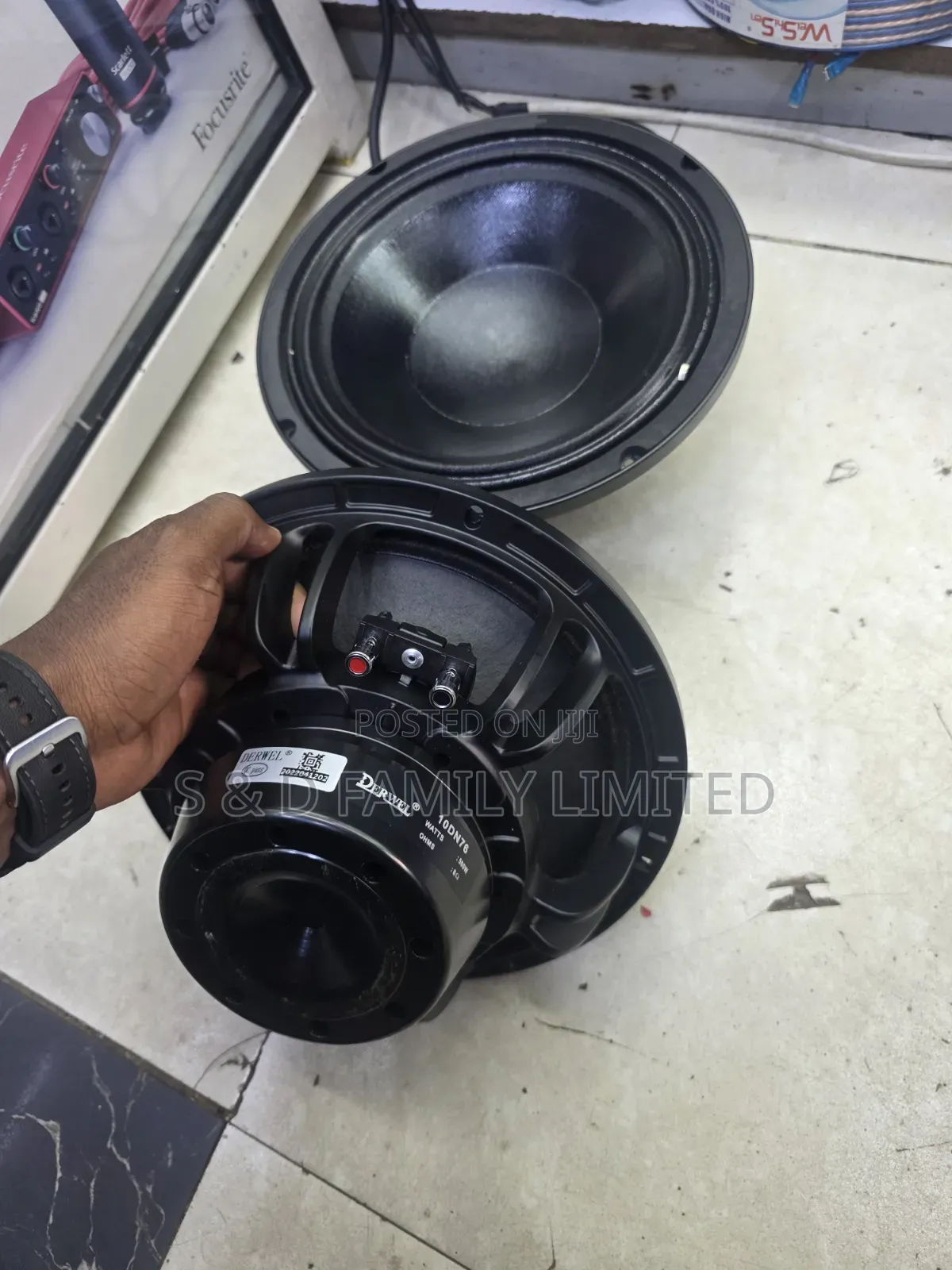 Derwel 10dn76 Neodymium 10 Inch Speaker