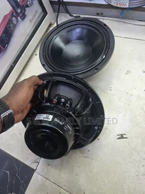 Derwel 10dn76 Neodymium 10 Inch Speaker