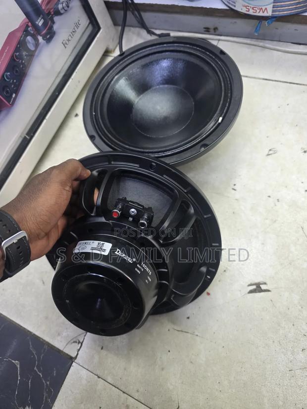 Derwel 10dn76 Neodymium 10 Inch Speaker