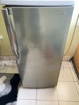 Samsung Fridge
